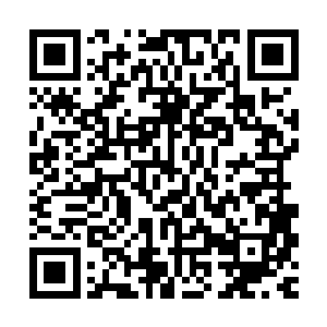 金老爷子居然会把金家三代里最出色的金家大小姐嫁给杜家家主二维码生成