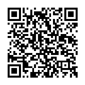 金背兽的肉身防御在所有魔兽中可是十分出名的二维码生成