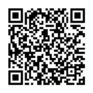 金鉴定眼睁睁的看着流墨墨淡定的卷走玉盒收进戒指二维码生成