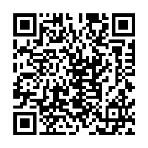 金陵苏家的后代子孙也只是听说过家族中曾经出过一个神仙二维码生成