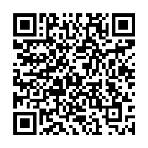 金雕们各自寻了路面山崖关键点眺望前后一段距离二维码生成