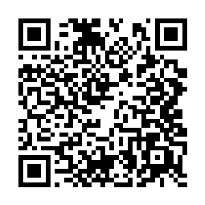 金鳞鱼吐出的细针很难穿透这么厚重有润滑的羽毛二维码生成