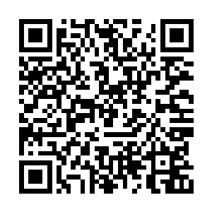 金鹏至尊的脸上顿时闪过了一抹嗤之以鼻的神情二维码生成