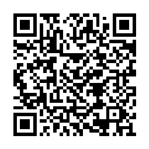 钟大福打伤了申庚辰之后肯定会第一时间回来的二维码生成