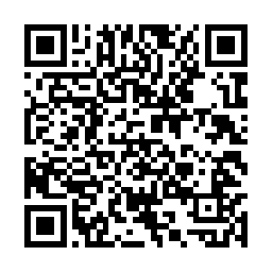 钟校长把林烽足以拿到省状元的优异成绩摆了出来二维码生成