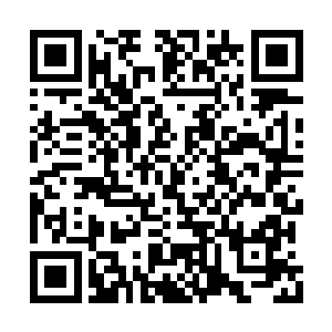 钟池如三兄弟原本相当尊重钟家三老爷夫妻两人二维码生成