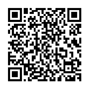 钟鸣鹏也不知道自家姐姐留的这唯一的骨血到底脾气禀性如何二维码生成