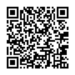 钱多多透过车窗认出了自己大师兄身边的那几人二维码生成