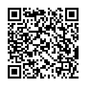 钱有道的元气手爪几乎是堪堪贴着苏林的身后划过二维码生成
