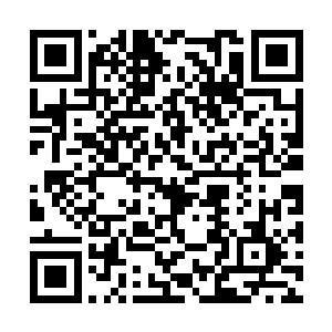 铁锤他们有些惊喜的看着聚起来的几十支各种枪支二维码生成