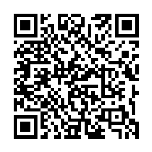 铁龙宗玄天峰的山门到现在的耗费也只是刚刚100多万金币二维码生成