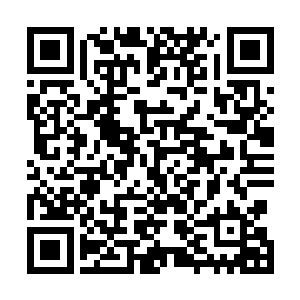 铃铛号就像是晶铠和巨神兵那样长出了两支黑色灵能羽翼二维码生成