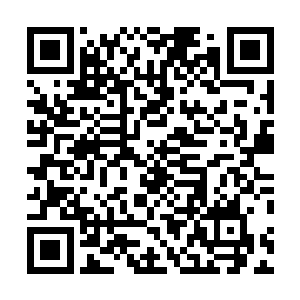 铃铛直接画成了一条上百米长的大蛇和水蛇攻击在了一起二维码生成