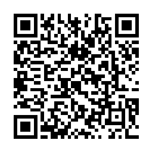 铮哥哥方才铿锵有力不容置疑的话语一字一字烙在其间二维码生成