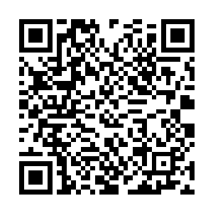 银可术才用数千董大郎麾下步卒正面舍死忘生强攻牵制二维码生成