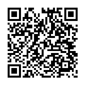 银芒如带着强烈腐蚀性的液体般啃噬着他的神魂二维码生成