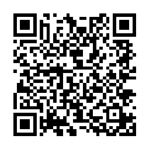 铺天盖地的甲壳虫被扯进漩涡中碾成了黑色的灰尘二维码生成