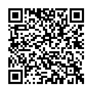 铺天盖地的细胞之海也像是接收到了神秘的指令二维码生成