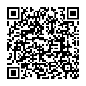 锋利的爪子在距离孙子轩的脑袋还有不到半米的地方猛然静止了下来二维码生成