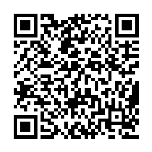 锦尘自释羽薰进门说的那句昨晚留在了千华苑后二维码生成