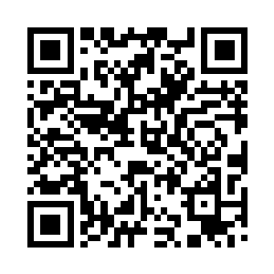 锦瑟一边爱怜地抚摸着扶苏毛茸茸的小脑袋二维码生成