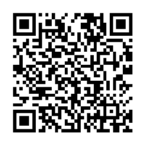 锦衣卫彻底被永远的和朝廷其他衙门一样被保留了下来二维码生成