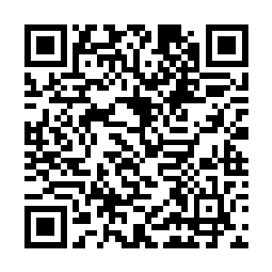 镇乙殿大姑姑怎么会召见自己这个小小的东来洞洞主二维码生成