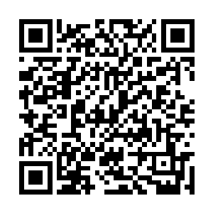 镇元子身旁缓缓卷动的巨大竹简瞬间挡到了他面前二维码生成