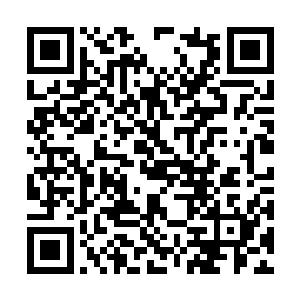 镇压一千年同代天骄的那位竟然只是为了轮回历练二维码生成