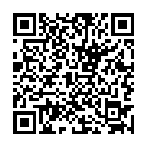 镇政fǔ所有的指令是不可能达到老百姓的耳朵中的二维码生成