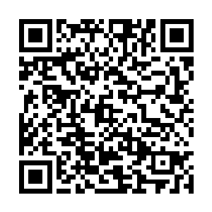 镜头马上给到了其他七家唱片公司的高层所在位置二维码生成