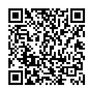 长出三排晶鳞的成年巨蟒有相当于七八级人类战兵的战力二维码生成