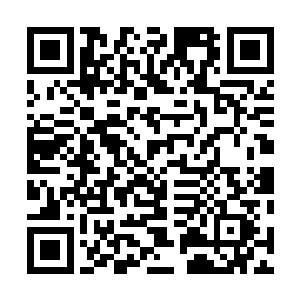 长大之后他同母亲依旧亲切不起来……母亲嫌他一事无成二维码生成