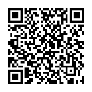 长孙居原先安排给她的两个女人被她推到了外围听用二维码生成