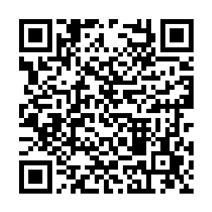 长期混迹官场的张县长要是还察觉不出气氛不对劲二维码生成