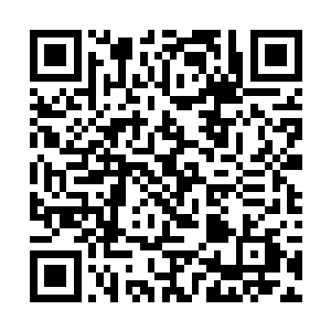 长生也是沉沉的盯着那好像结了一层薄冰冻住了的湖二维码生成