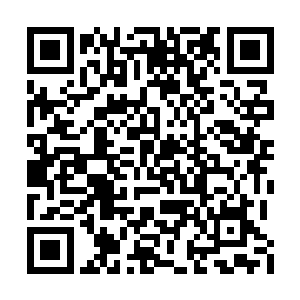 长生本来还在引着纸人去对付那些树根和毒虫的二维码生成
