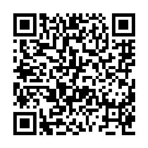 长老们也不知道是被马千山的目光给震慑住了呢二维码生成