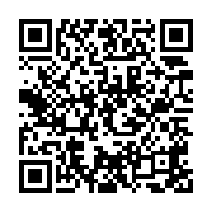 长耳兽带着那一身的长毛一大堆缩在角落里取暖二维码生成