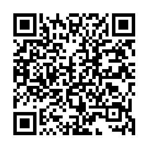 长长的带着很多尖刺的尾巴甩起来如同标枪一样刺向麒麟二维码生成