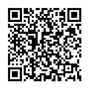 长长的白色眉毛随着白眉的动作全部都竖了起来二维码生成