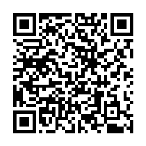 长阳府一大群人和格森王国的国王陛下齐齐相聚在这里二维码生成