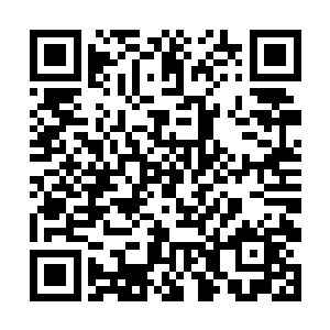 长阳霸等人和一群老人依然汇集在这里没有一人离去二维码生成