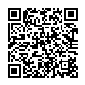 长阳青云和元脉的两名太上长老的脸色也是微变二维码生成