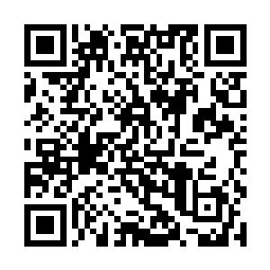 长青真人之前便安排了四个渡劫期的弟子进入到灵谷二维码生成