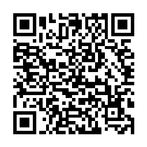 门内的魔念曾经企图将一个魔文真谛烙进我的脑海中二维码生成