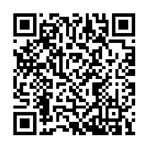 门口两个侍卫拎着一个不到十岁的孩子走了进来二维码生成