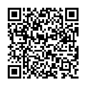 门口保安值班室门口放着一辆崭新的小鸟电动车二维码生成