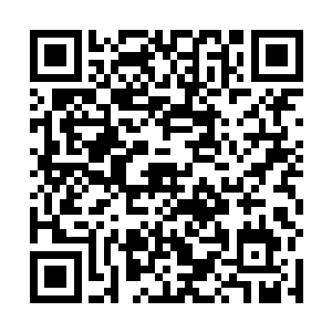 门口护卫见失踪了两个多月的姐带着一个陌生男子回来二维码生成