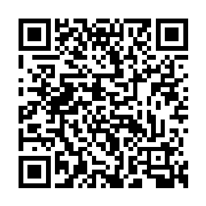 门口的侍卫看着这一切在他们的眼皮子底下发生二维码生成